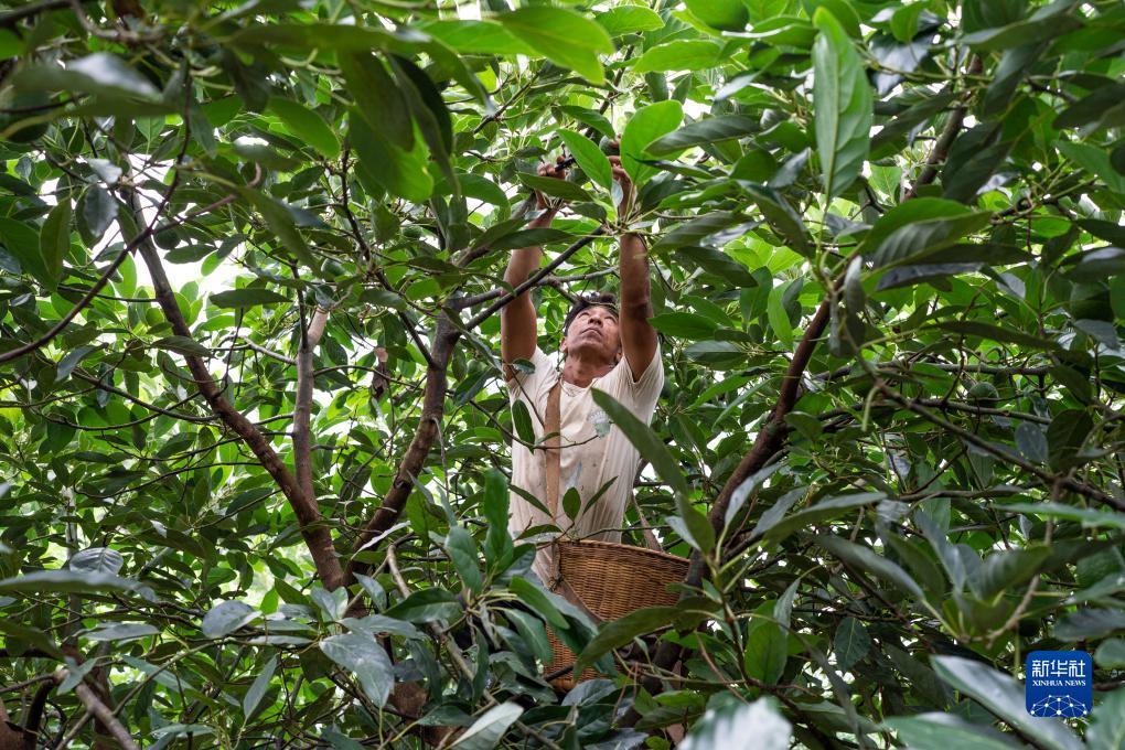 斗牛游戏大厅下载